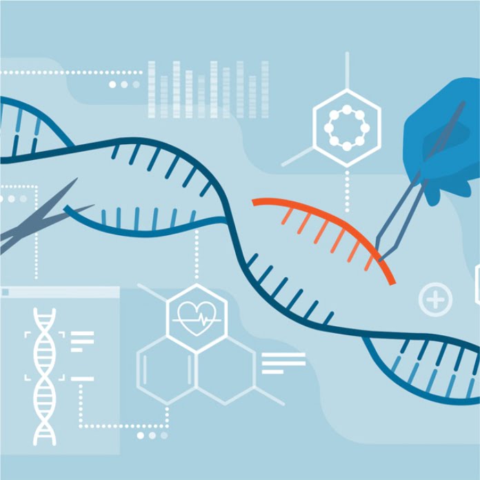 La primera década de CRISPR: avances y perspectivas